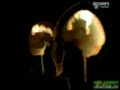 Удивительное тело. Анатомия секса
