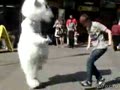 Танцы с медведем