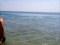Дельфин на пляже в ст. Благовещенская, Анапа 13.06.2015г